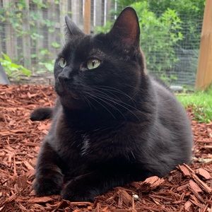 Meet your Posher, Emily